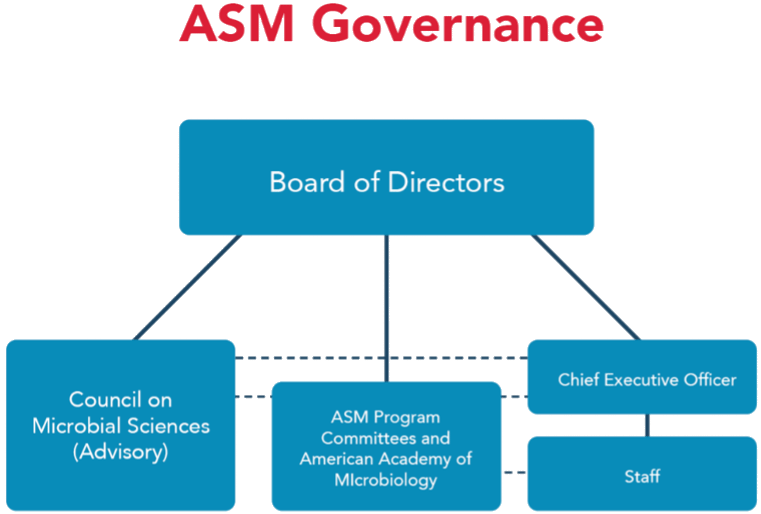 The Board of Directors is over the Council on Microbial Sciences (Advisory), ASP Program Committees and American Academy of Microbiology and the Chief Executive Officer. 