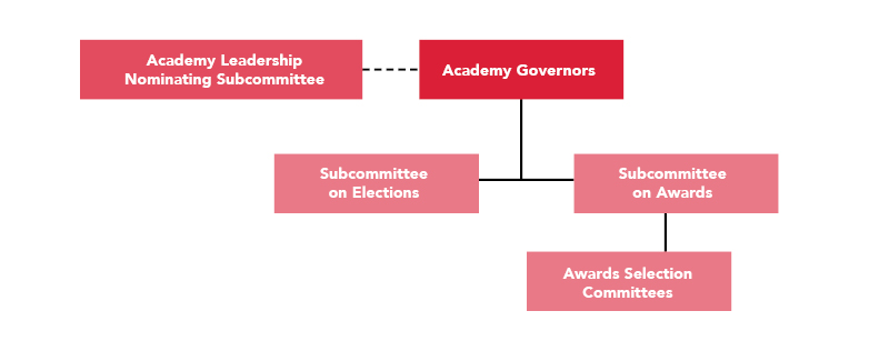 American Academy of Academy Governance Structure