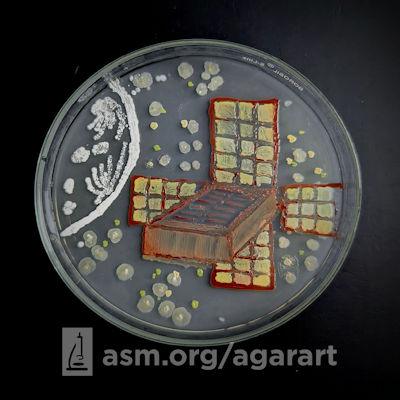 Agar Art of the BioSentinel satellite.