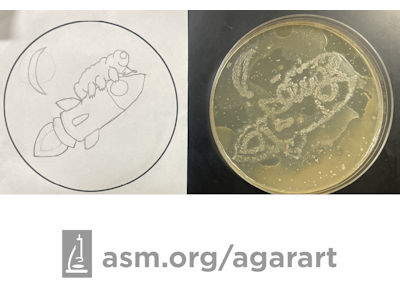 Agar Art of a tardigrade in space.