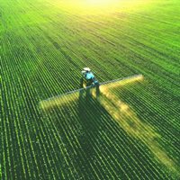 Overhead view of rows of crops being sprayed.