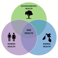 Infographic showing the intersection of One Health factors.