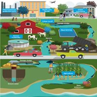 Infographic showing the Wastewater cycle.