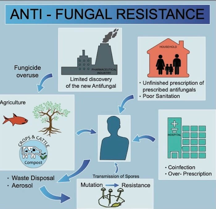 Factors that contribute to acquisition of antifungal resistance.