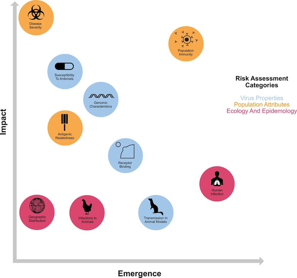 Potential risk elements defined by the IRAT and TIPRA have been assessed and weighted in order to estimate emergence and impact risks for prepandemic influenza strains.