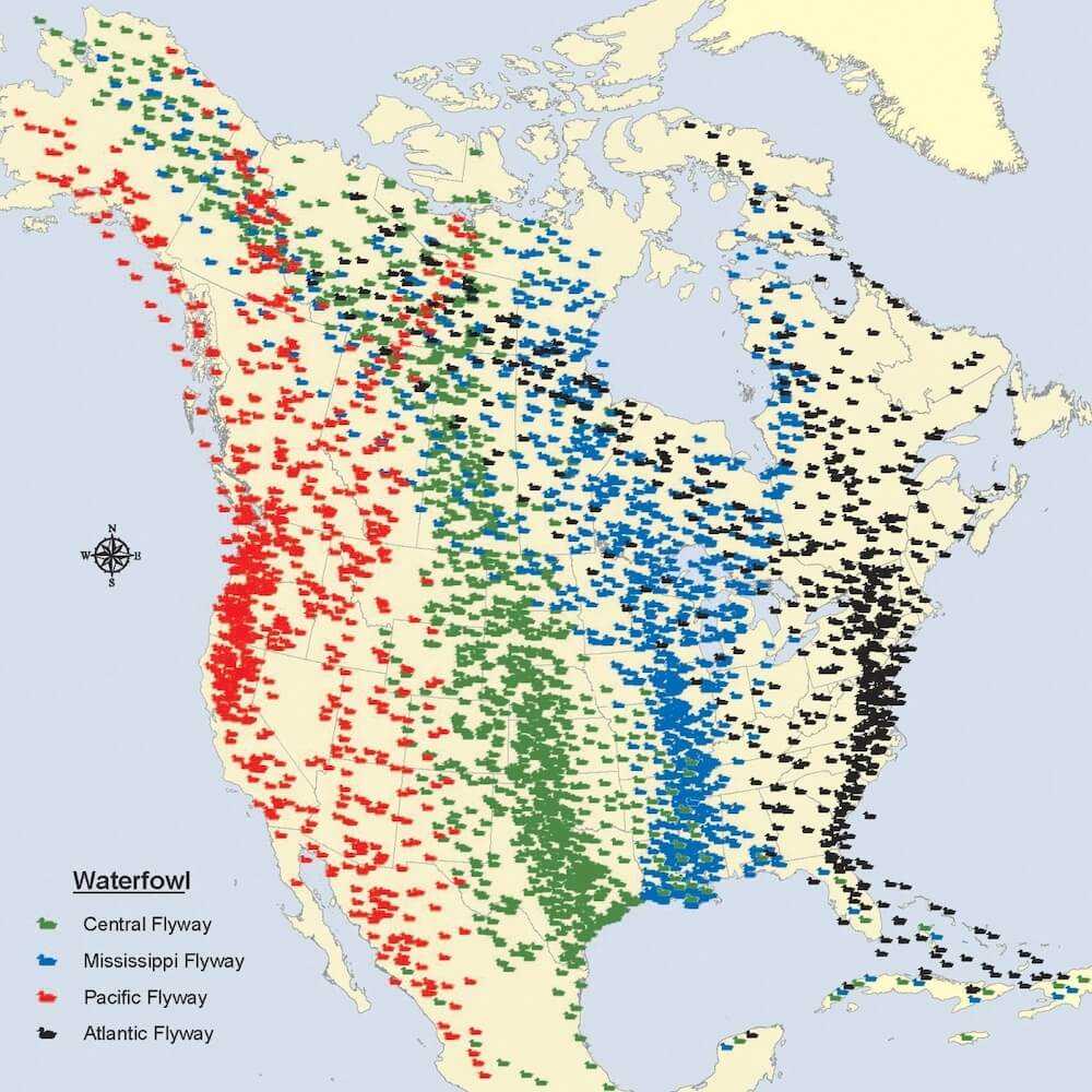 Map of North American flyways.