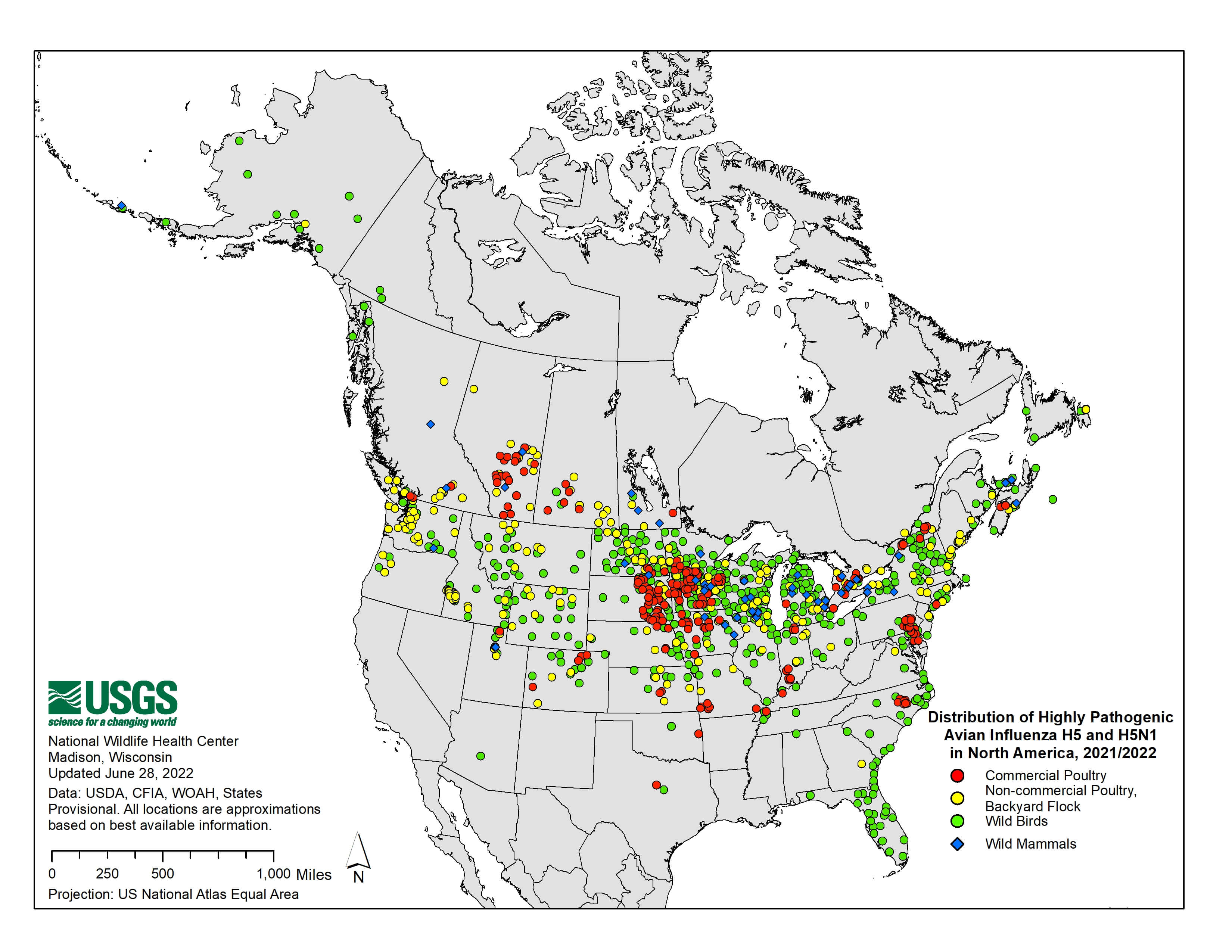 Distribution of Highly Pathogenic Avian Influenza H5 and H5N1 in North America, 2021/2022. Updated June 03, 2022.