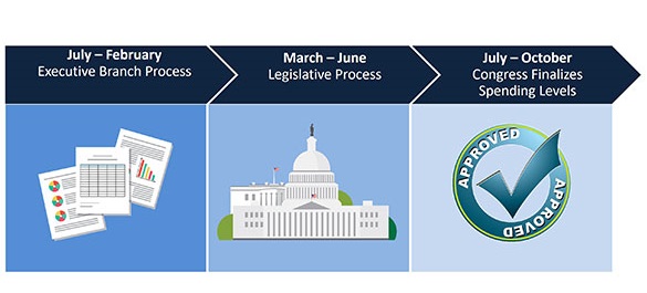 Graphic of the Appropriations Process