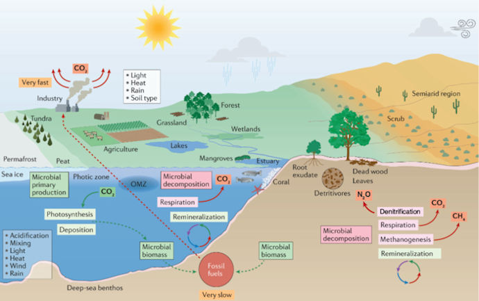 Microbes and Greenhouse Gases