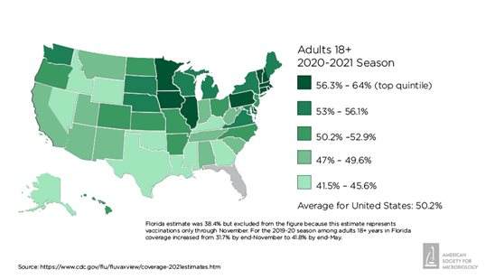 Influenza vaccination rates for adults 18 years old and older by U.S. state for the 2020-2021 flu season.