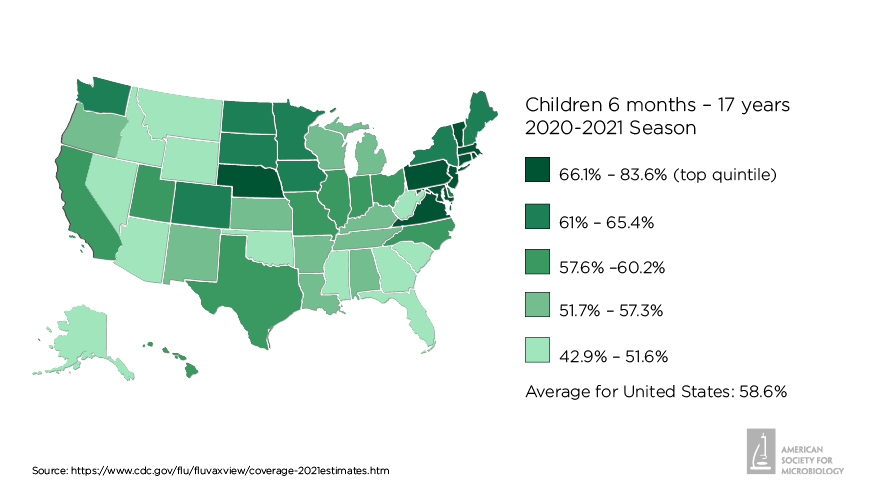 Influenza vaccination rates for children 6 mos. to 17 years of age by U.S. state for the 2020-2021 flu season.