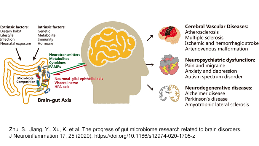 A microbiota and metabolic paradigm of neurodegenerative disease.