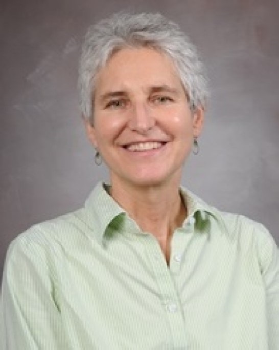 Heidi B. Kaplan, Ph.D.