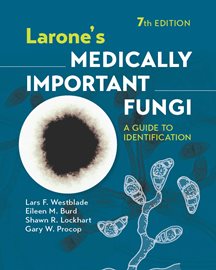 Larone's Medically Important Fungi cover