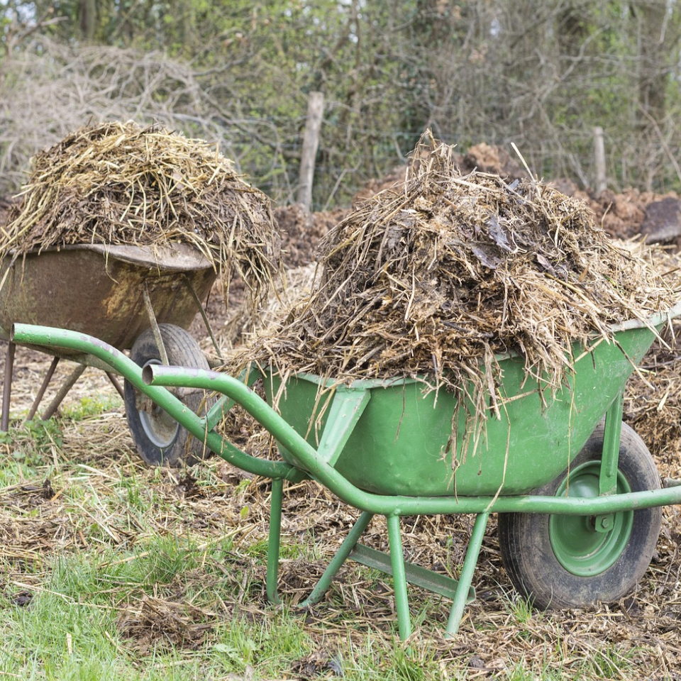 Animal Wastes and Manure Management