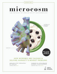 Cover of Microcosm Magazine's Spring 2020 issue.