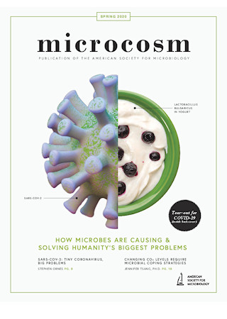 Cover image of the Spring 2020 issue of Microcosm magazine.