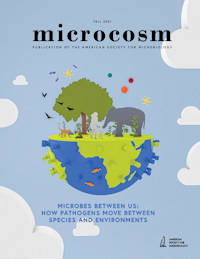 Cover of Microcosm Magazine's Winter 2021 issue.