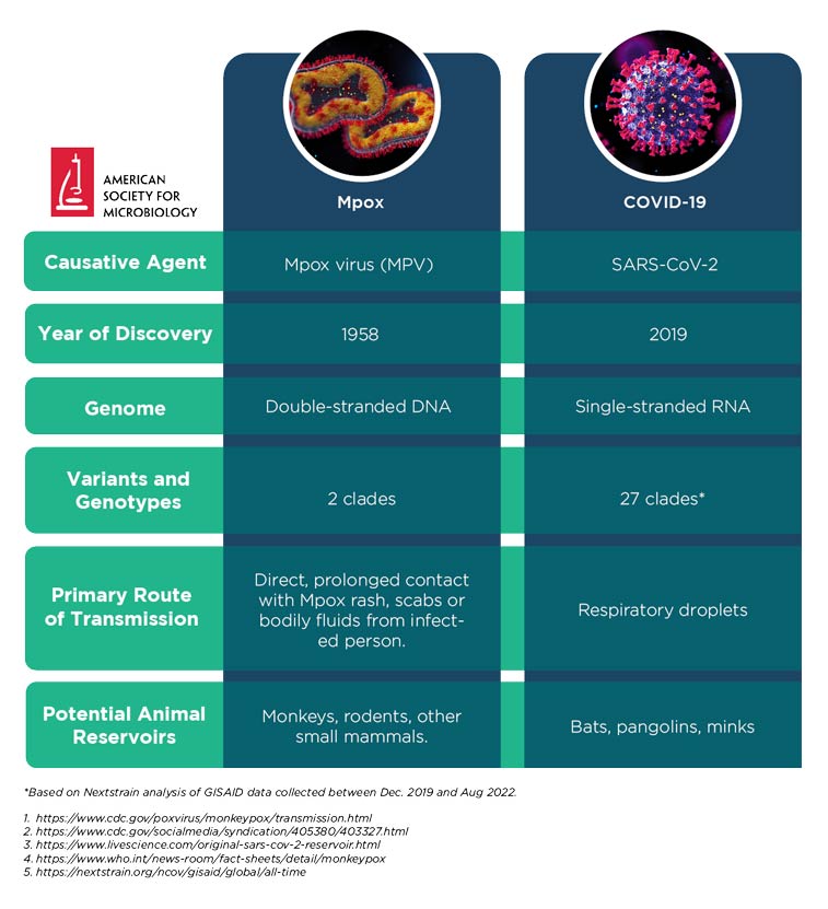 Mpox Comparative Infographic