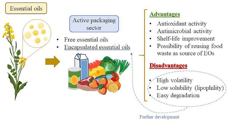 Application of essential oils in food packaging.