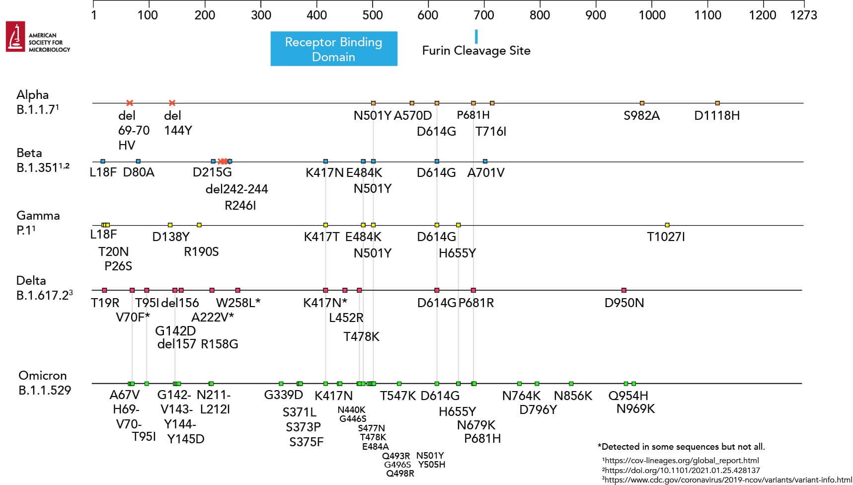 Amino acid changes to the spike (S) protein in SARS-CoV-2 variants of concern (VOCs). (Click to expand image.)