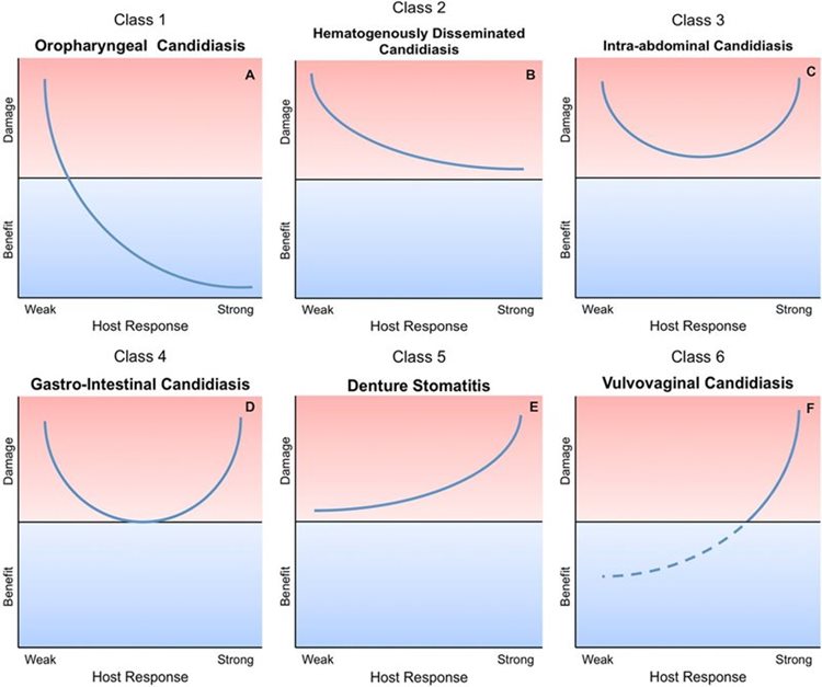 Diagram of damage response parabolas for different types of Candida albicans infection