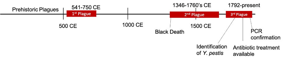 Timeline of plague outbreaks throughout history.