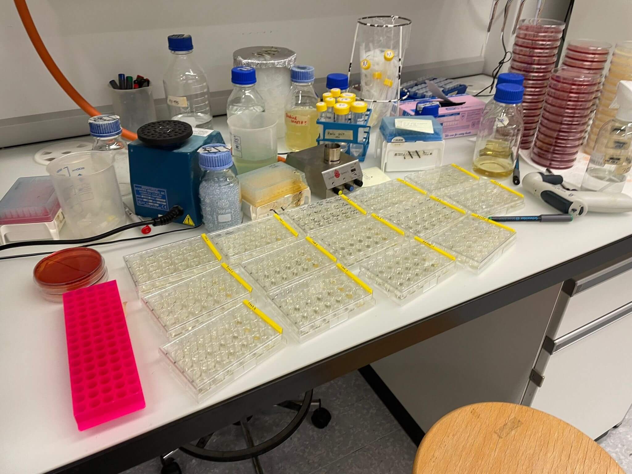 Experiment to check whether the recipient bacteria had any pre-existing antibiotic resistance. Cultures grown in liquid media containing various antibiotics.