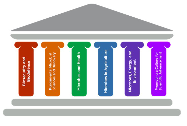 Illustration of ASM's 6 policy pillars as a classic Greek building.