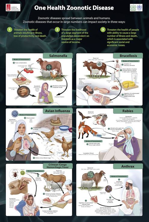 One Health Zoonotic Disease educational poster.