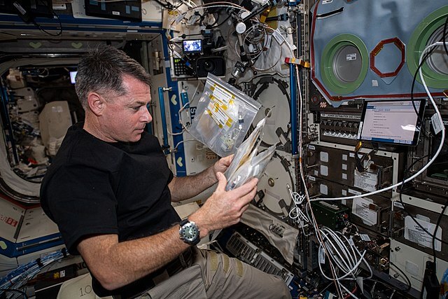 An astronaut in the International Space Station. 