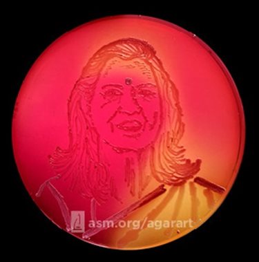 Agar art portrait of Suniti Solomon.