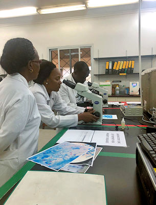 Working in a lab with a microscope in Kenya.