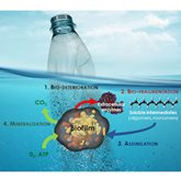 Illustration of marine plastic biodegradation.