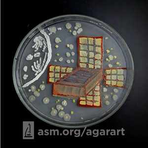 A Cosmic journey of Yeast cells. Agar Art image