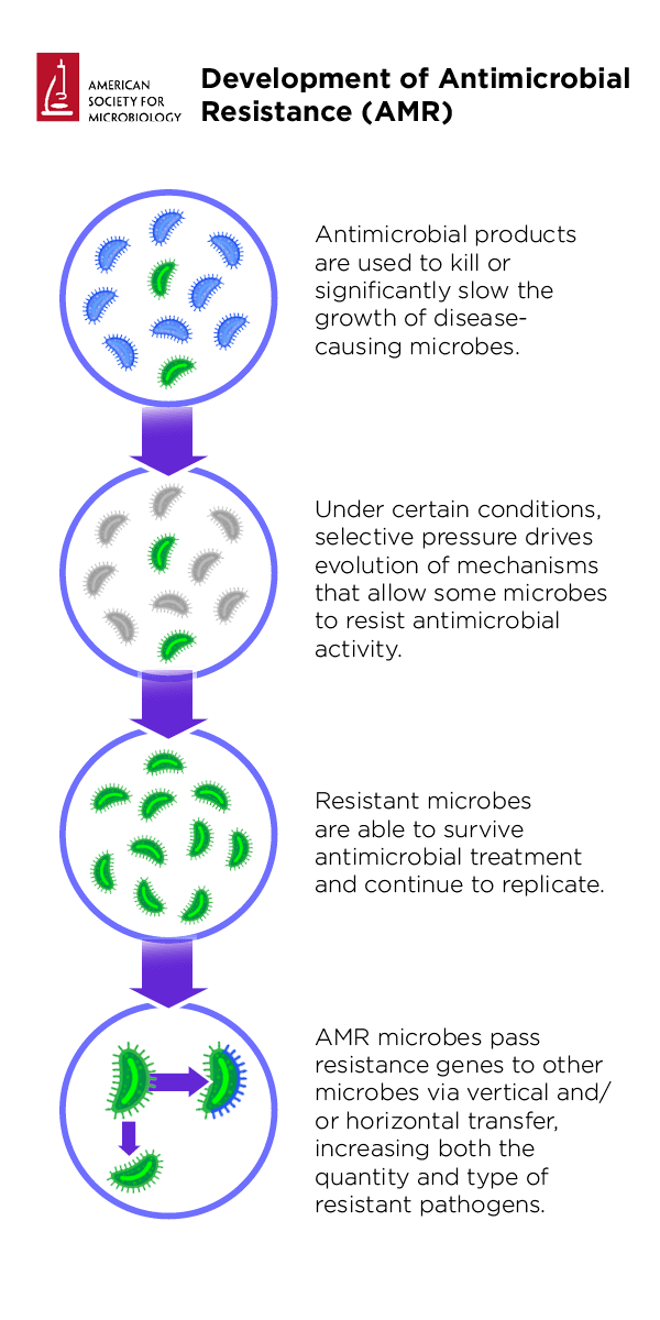 AMR Infographic.