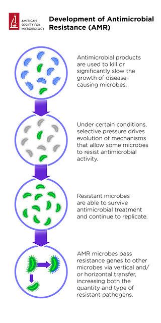 AMR Infographic.