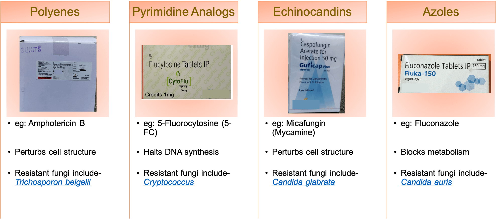 Examples of commonly used drug classes and drugs that have already shown cases of antifungal resistance