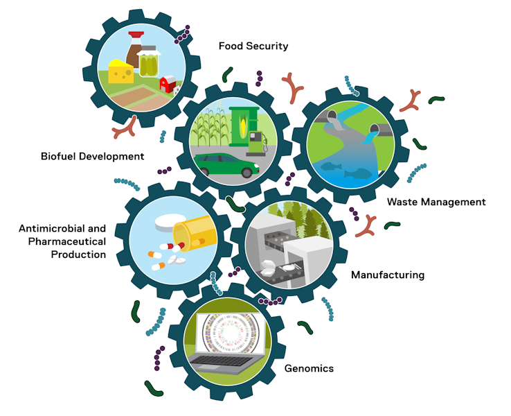 An illustration that shows how the many gears of the bioeconomy interact with each other.