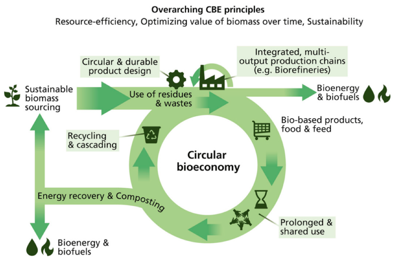 Biofuel graphic