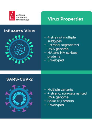 Comparison of influenza virus and SARS-CoV-2 virus properties.