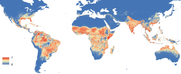 Global map of the predicted distribution of <i>Aedes aegypti</i> in 2015.