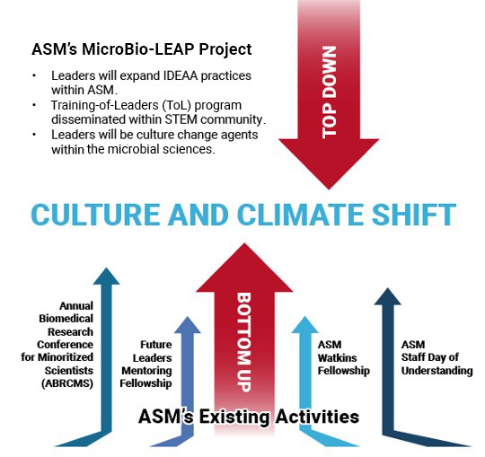 Culture and Climate Shift, Microbio-LEAP Project takes a top down approach to compliment ASM's existing DEI activities which are bottom up.