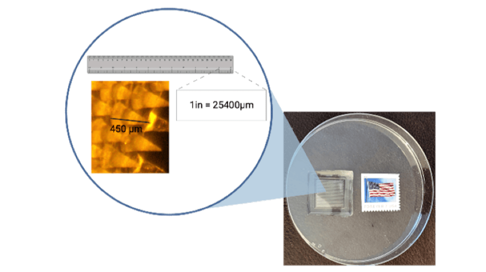 A microneedle patch is about the size of a stamp. The cone like structure of the microneedle has a height of 450 µm.