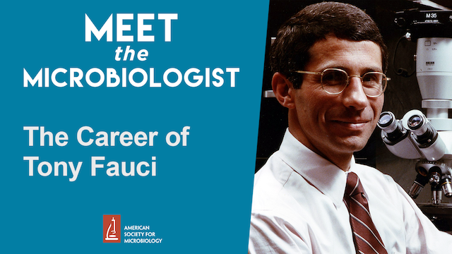 Tony Fauci 1984 in front of a microscope