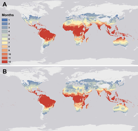 World map with continents colored according to their mean temperature. 