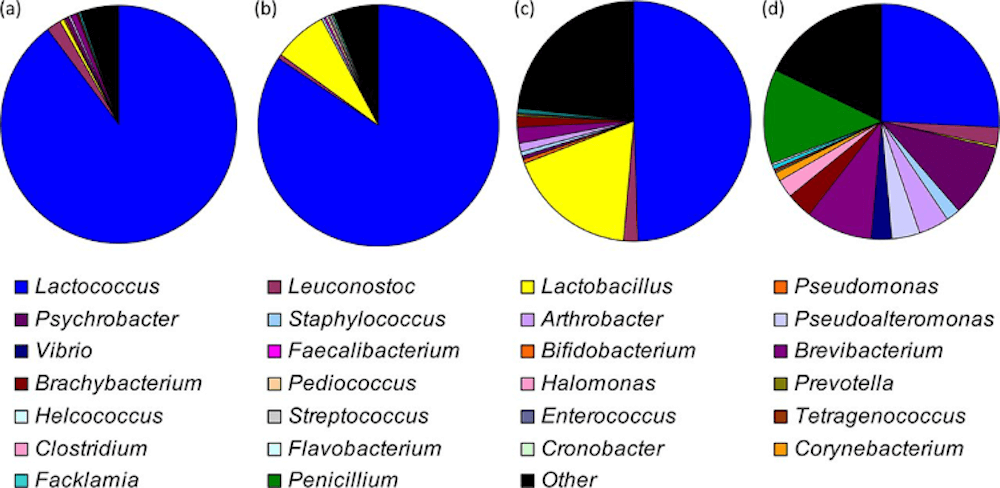 Pie graphs showing the different ecologies of microorganisms found in 4 different cheese varieties.