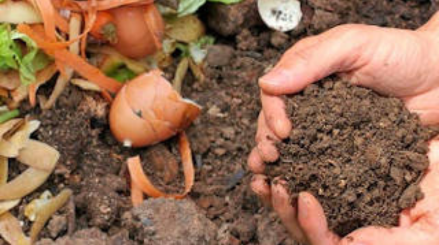 An image of someone holding a handful of soil.