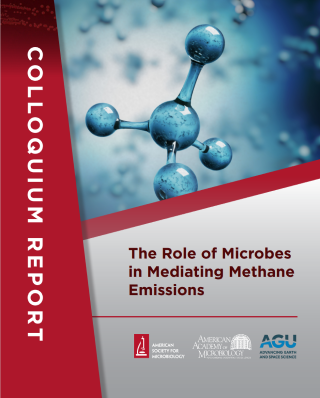 Cover of The Role of Microbes in Mediating Methane Emissions