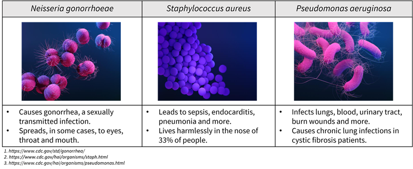 Table describing pathogenesis of Neisseria gonorrhoaeae, Staphylococcus aureus and Pseudomonas aeruginosa.